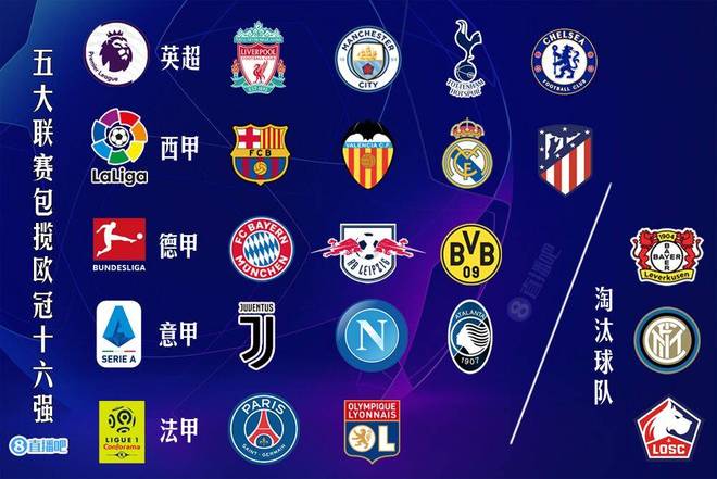 裁判报告 裁判报告